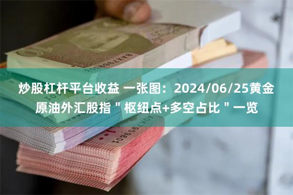 炒股杠杆平台收益 一张图：2024/06/25黄金原油外汇股指＂枢纽点+多空占比＂一览