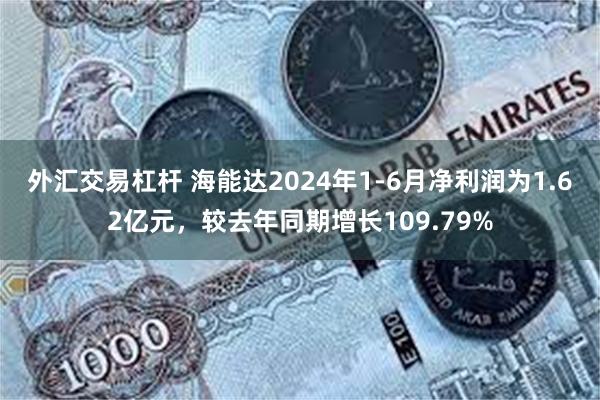 外汇交易杠杆 海能达2024年1-6月净利润为1.62亿元，较去年同期增长109.79%