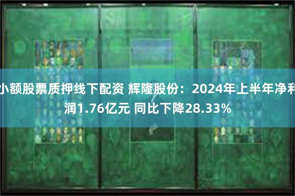 小额股票质押线下配资 辉隆股份：2024年上半年净利润1.76亿元 同比下降28.33%