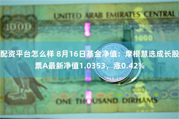 配资平台怎么样 8月16日基金净值：摩根慧选成长股票A最新净值1.0353，涨0.42%