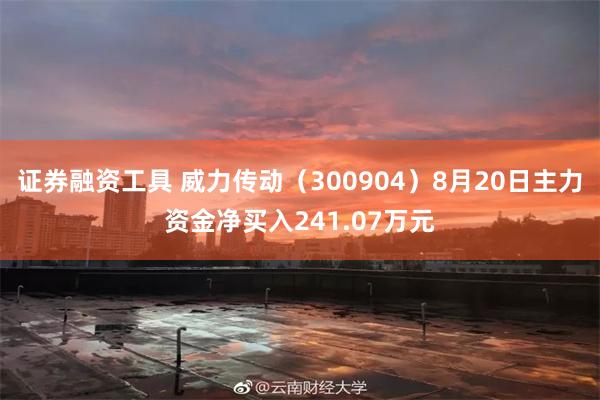 证券融资工具 威力传动（300904）8月20日主力资金净买入241.07万元