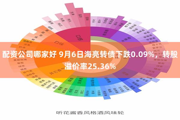 配资公司哪家好 9月6日海亮转债下跌0.09%，转股溢价率25.36%