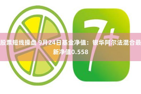 股票短线操盘 9月24日基金净值：银华阿尔法混合最新净值0.558