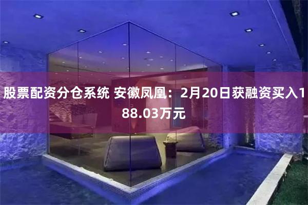 股票配资分仓系统 安徽凤凰：2月20日获融资买入188.03万元